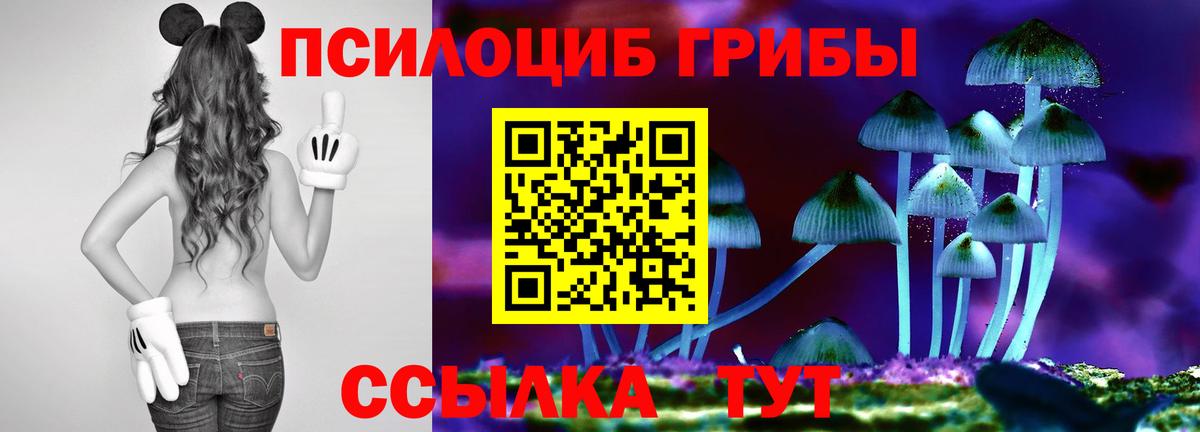 Галлюциногенные грибы мухоморы Отрадный